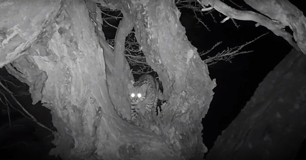 Go Deeper Stories: Alice’s Journey to Conservation